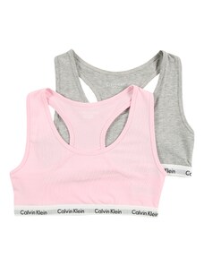 Calvin Klein Underwear Komplet donjeg rublja siva / roza