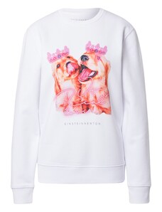 EINSTEIN & NEWTON Sweater majica miks boja / bijela