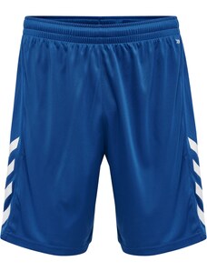 Hummel Sportske hlače 'Core' tamno plava / bijela