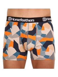 Men's boxers Horsefeathers Sidney Polygon
