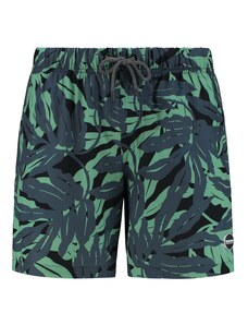 Shiwi Kupaće hlače 'palm cove 4-way stretch' kivi zelena / kraljevski zelena / crna