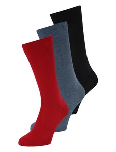 FALKE Čarape 'Family' golublje plava / crvena / crna