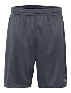 Hummel Sportske hlače 'AUTHENTIC' antracit siva / crna / bijela