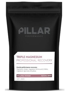 Vitamini i minerali Pillar Performance Triple Magnesium Professional Recovery Powder Berry (200g) POUCH eu-tmpr200p-p