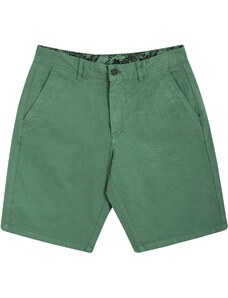 Panareha Men's Organic Cotton Shorts TURTLE green