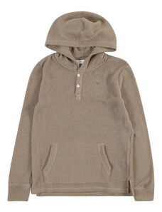Abercrombie & Fitch Sweater majica taupe siva