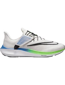 Tenisice za trčanje Nike Pegasus FlyEase dj7381-006
