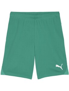 Kratke hlače Puma teamGOAL Shorts 705752-05
