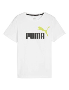 PUMA Majica 'Essential' limeta / crna / bijela