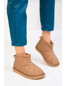 Soho Women's Camel Boots & Bootie 18620