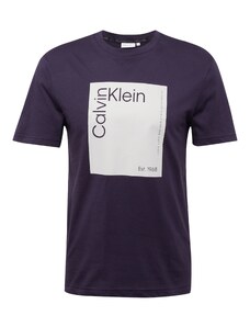 Calvin Klein Majica mornarsko plava / bež siva / crna