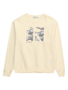 Calvin Klein Jeans Sweater majica 'SERENITY' siva / antracit siva / vuneno bijela
