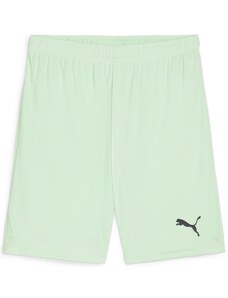 Kratke hlače Puma teamGOAL Shorts 705752-60