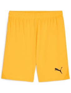 Kratke hlače Puma teamGOAL Shorts 705752-61