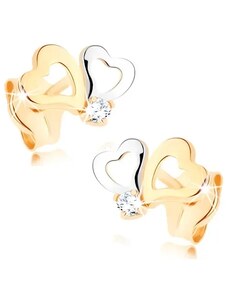 Nakit Eshop - Dijamantne naušnice od 585 zlata - dvobojna silueta srca, prozirni brilijant BT501.24
