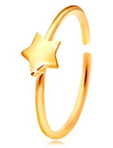 Nakit Eshop - 14K zlatni piercing za nos, sjajni krug sa zvijezdom, žuto zlato S2GG206.05