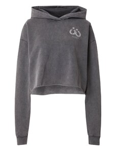 HUGO Sweater majica 'Dephana' siva / crna
