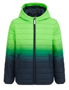 WE Fashion Prijelazna jakna zelena / kraljevski zelena