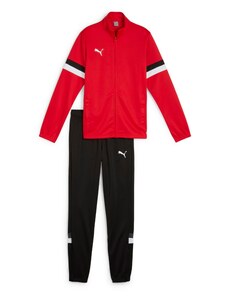 PUMA Odjeća za vježbanje 'TeamRise' siva / crvena / crna / prljavo bijela