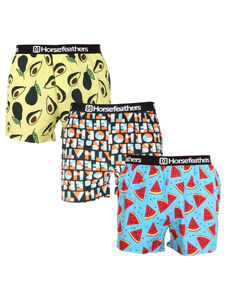 3PACK Men's Boxer Shorts Horsefeathers Frazier multicolored