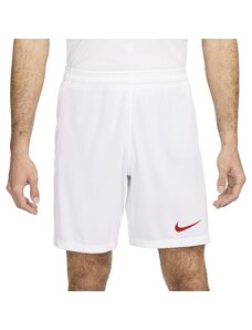 Kratke hlače Nike TUR M NK DF STAD SHORT HM 2024 fv1750-100