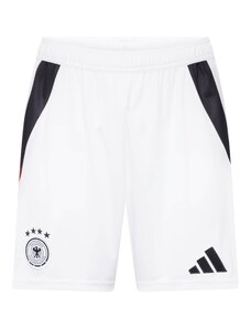ADIDAS PERFORMANCE Sportske hlače 'DFB 24' crvena / crna / bijela