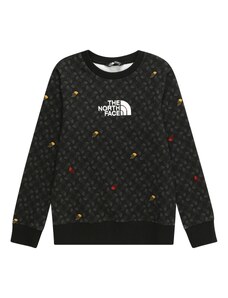 THE NORTH FACE Sportska sweater majica 'DREW PEAK' siva / crna / bijela