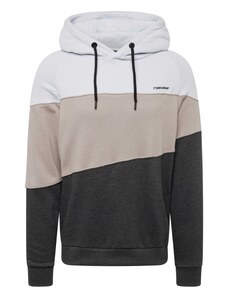 Ragwear Sweater majica 'THRES' bež / svijetlosiva / tamo siva / crna