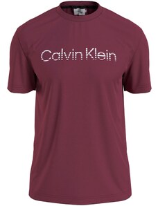 Calvin Klein Majica 'DEGRADE' bordo / bijela