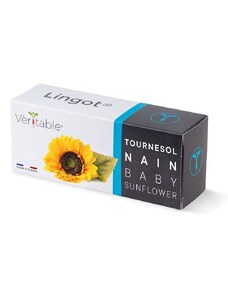 Umetak sa sjemenom Veritable Baby Sunsflower