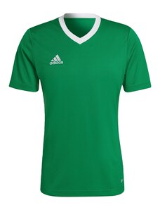 ADIDAS PERFORMANCE Tehnička sportska majica 'Entrada 22' travnato zelena / bijela