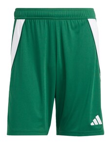 ADIDAS PERFORMANCE Sportske hlače 'Tiro 24' zelena / bijela