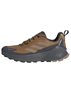 ADIDAS TERREX Niske cipele 'Trailmaker 2.0' zeleno smeđa / brokat / crna / bijela