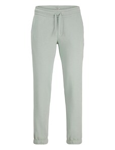 JJ Rebel Hlače 'JREBGORM' pastelno zelena
