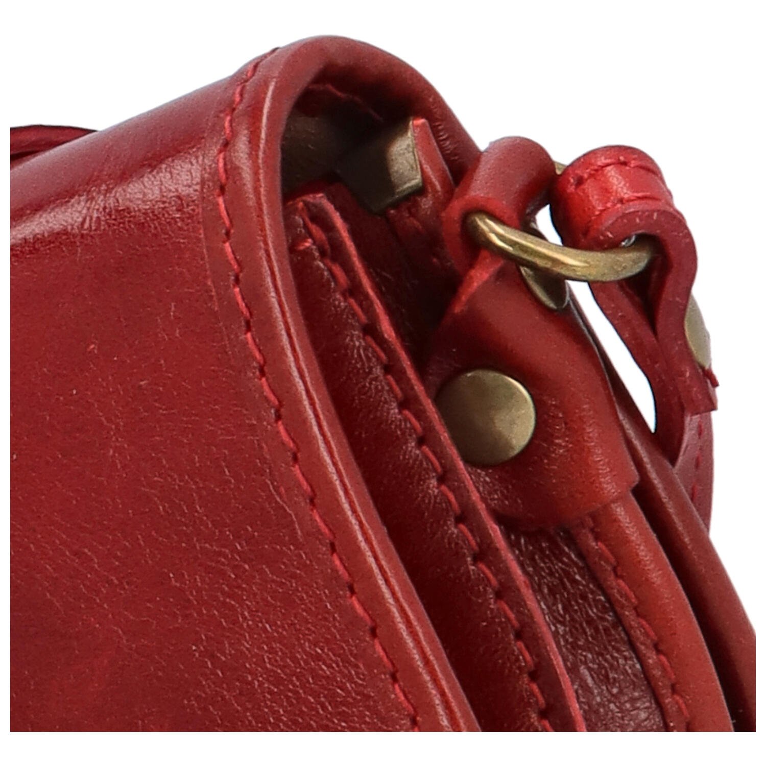 Delami Vera Pelle Mala ženska kožna torbica Lorentii, crvena