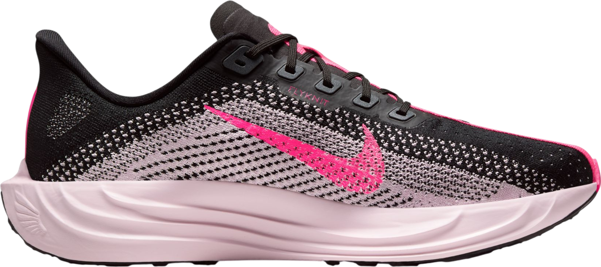 Nike Tenisice za trčanje Pegasus Plus muške