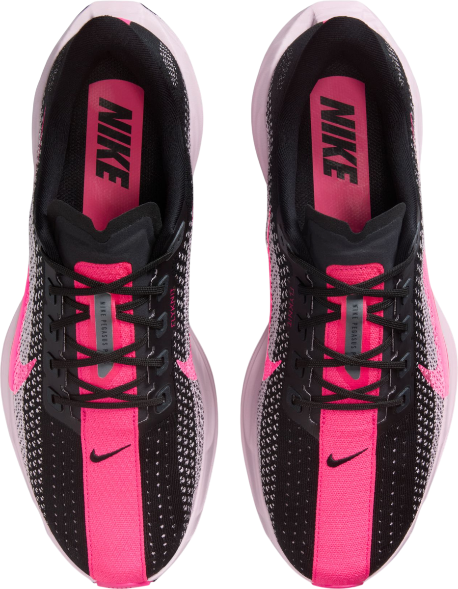 Nike Tenisice za trčanje Pegasus Plus muške