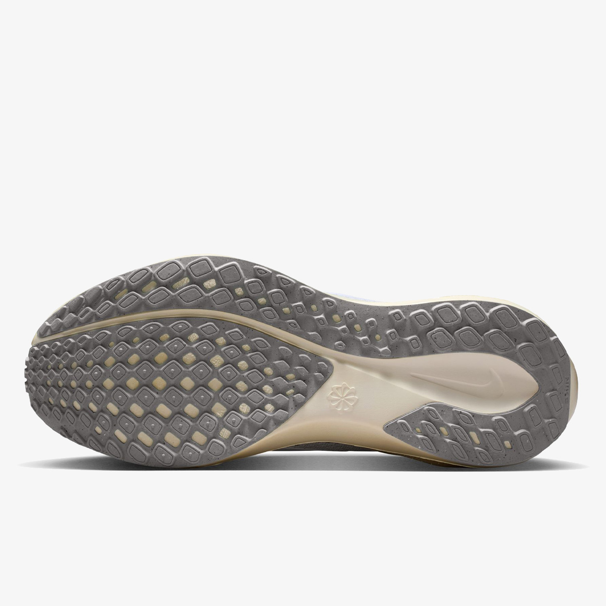 Nike Air Zoom Pegasus 41