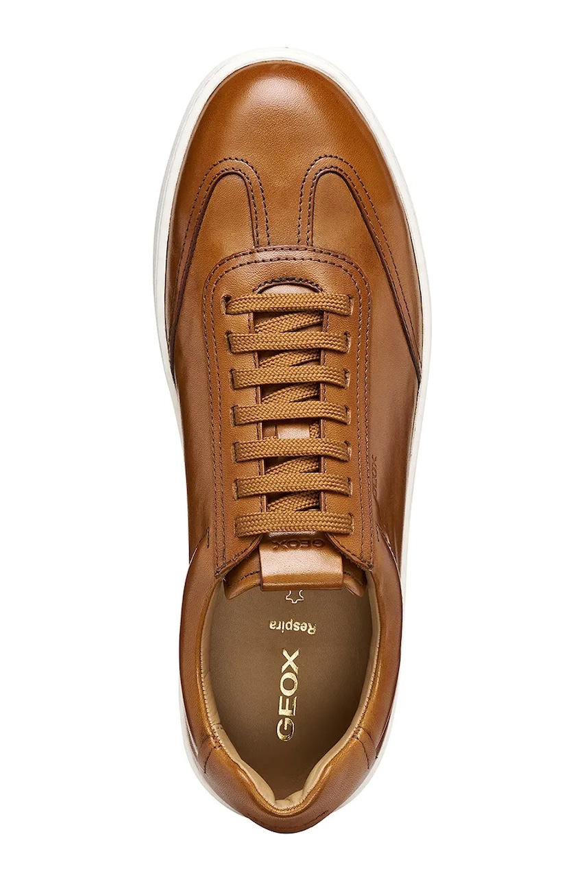 Kožne tenisice Geox U REGIO