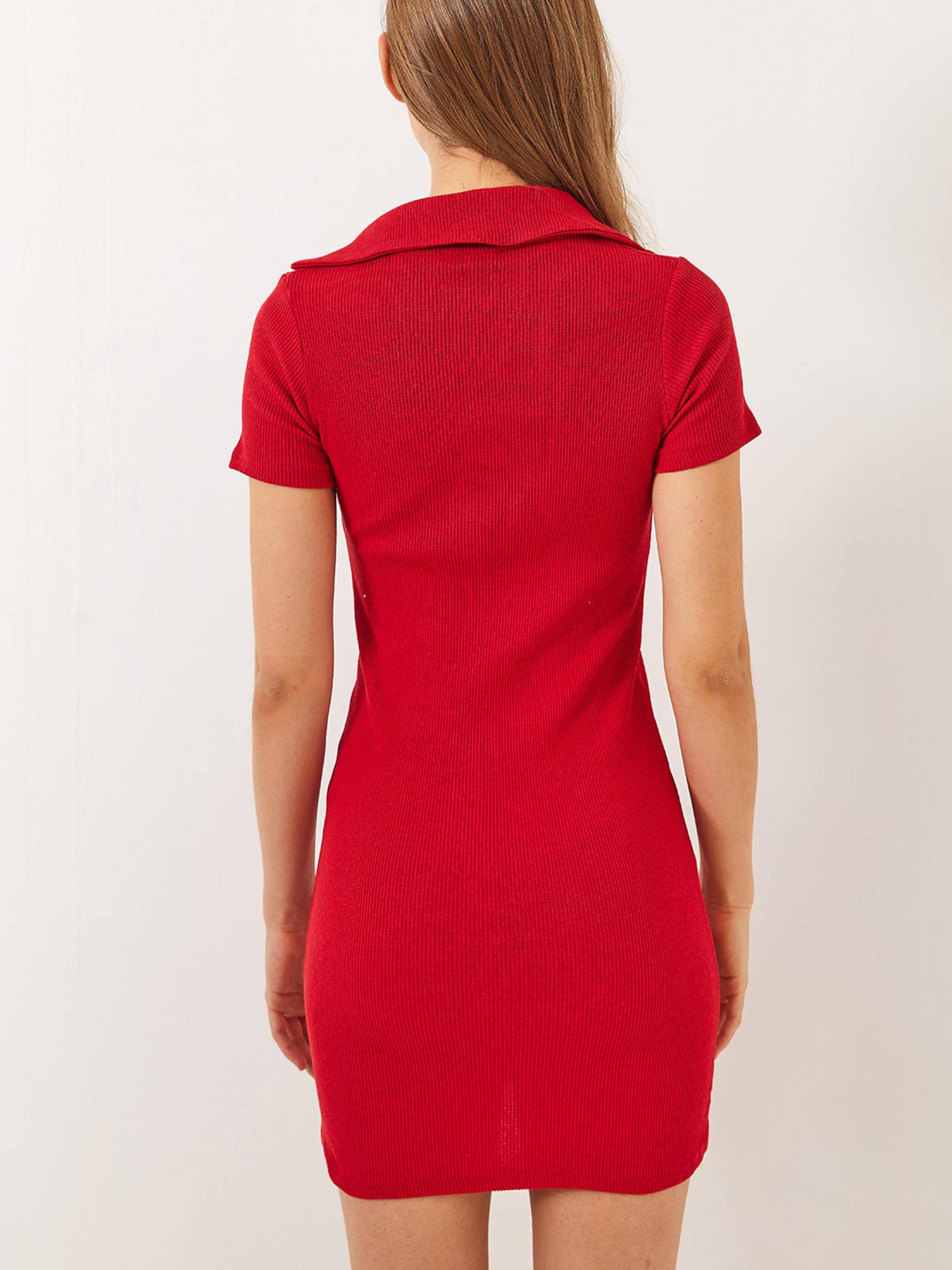 Bianco Lucci Haljina svijetlo crvena