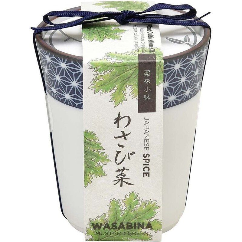 Set za uzgoj biljaka Noted Yakumi, Wasabina