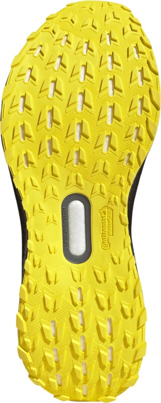 adidas Tenisice za trčanje ULTRABOOST 5 GTX muške