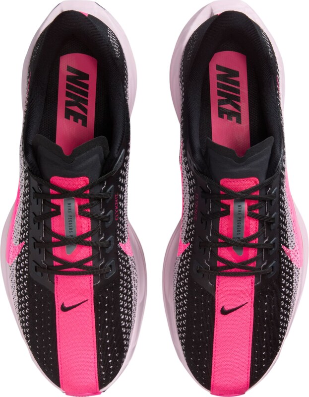 Nike Tenisice za trčanje Pegasus Plus muške