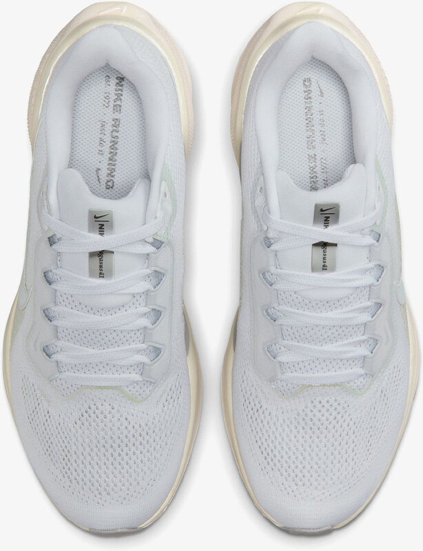 Nike Air Zoom Pegasus 41