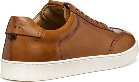 Kožne tenisice Geox U REGIO