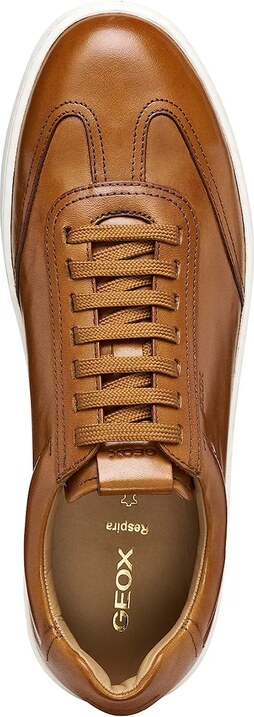 Kožne tenisice Geox U REGIO