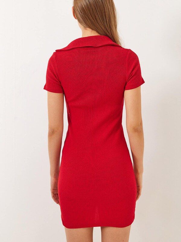 Bianco Lucci Haljina svijetlo crvena