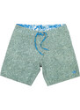 Panareha Men's Beach Shorts SAIREE green