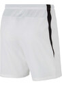 Kratke hlače Nike M NK DF VNM SHORT III WVN cw3855-100