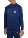 Majica s kapuljačom Nike LK NK FFF DRY HOODIE dm9997-410